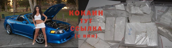 шишки Медвежьегорск