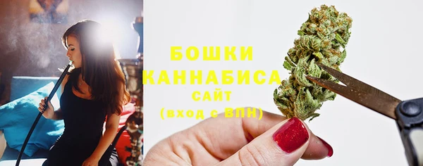 стаф Мегион