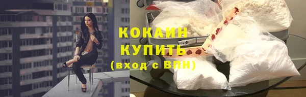 стаф Мегион