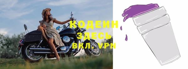 шишки Медвежьегорск
