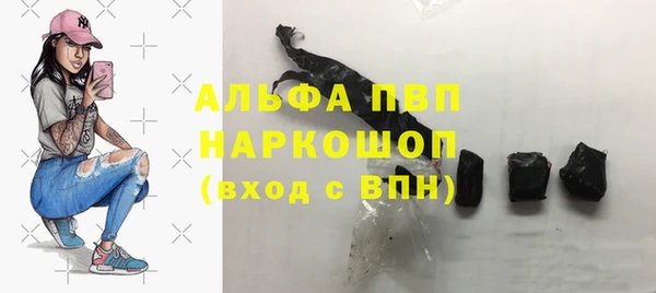 шишки Медвежьегорск