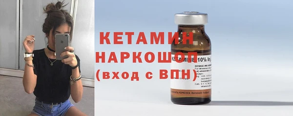 шишки Медвежьегорск