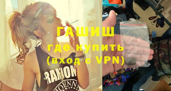 шишки Медвежьегорск