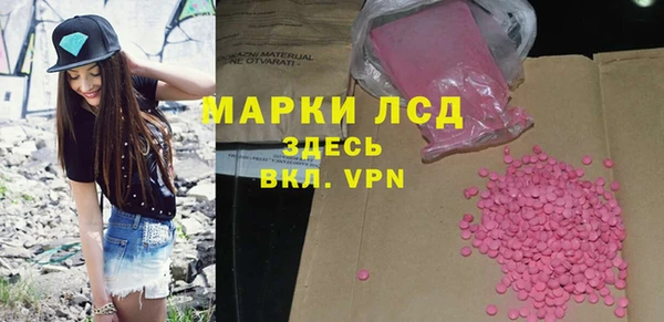 шишки Медвежьегорск