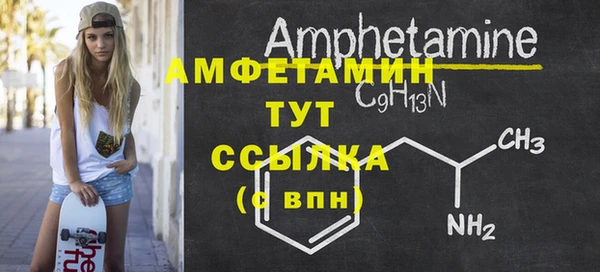 шишки Медвежьегорск