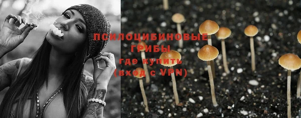 стаф Мегион