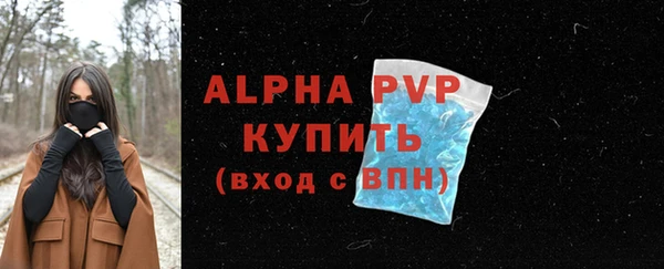 СК Медногорск
