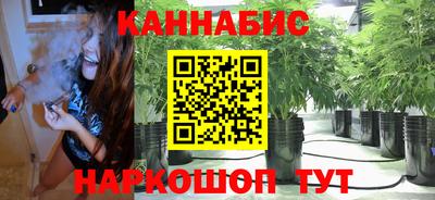 стафф Гусев