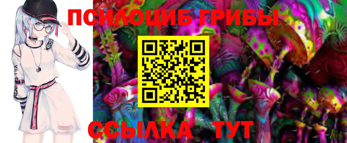 Коркино  Псилоцибиновые грибы Cubensis  Вход с VPN 