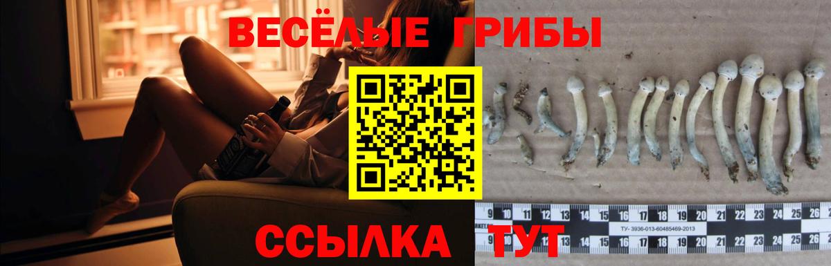 Галлюциногенные грибы Magic Shrooms Коркино